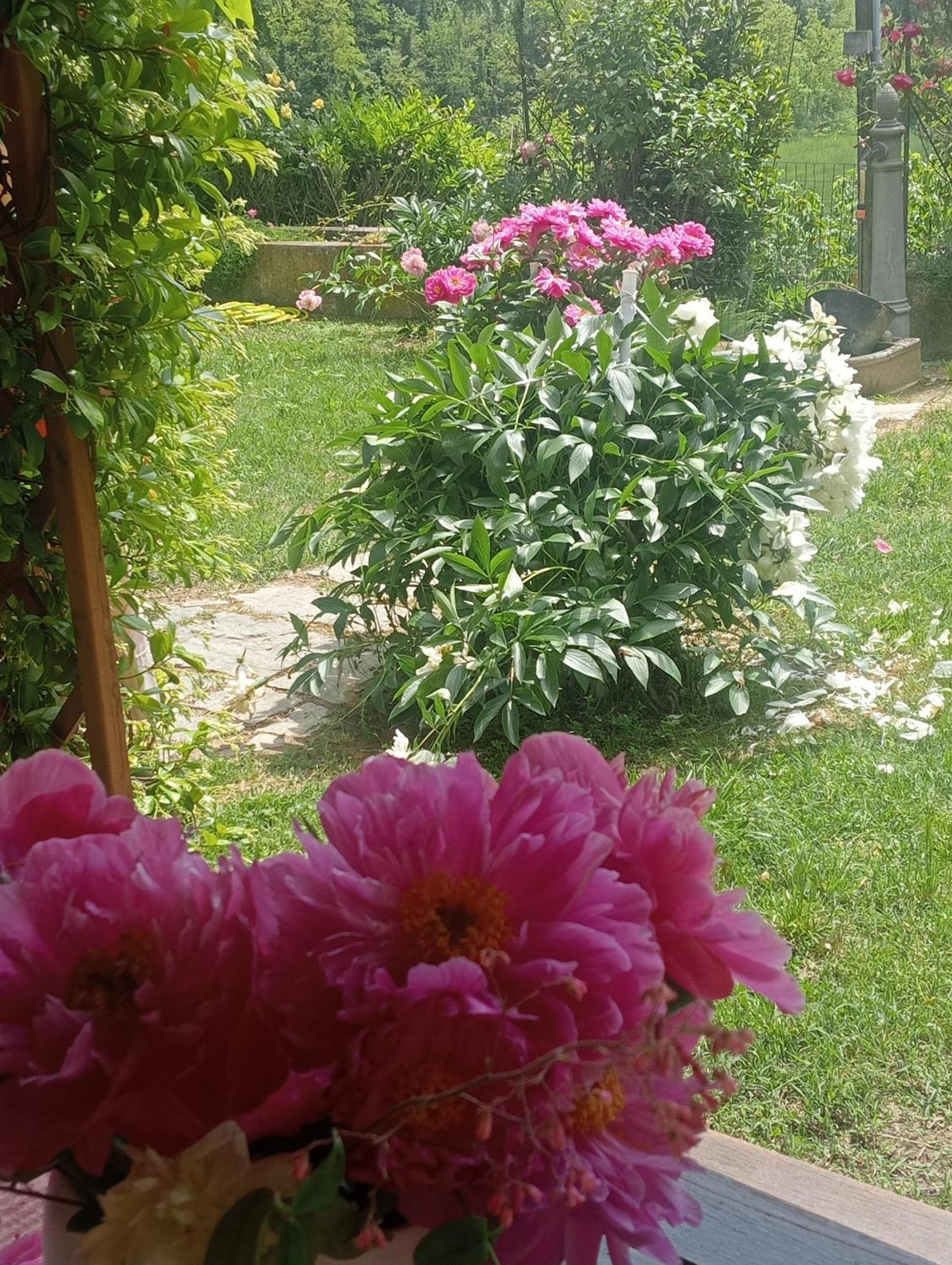 B&B Cascina Ciapilau Asti Exterior foto